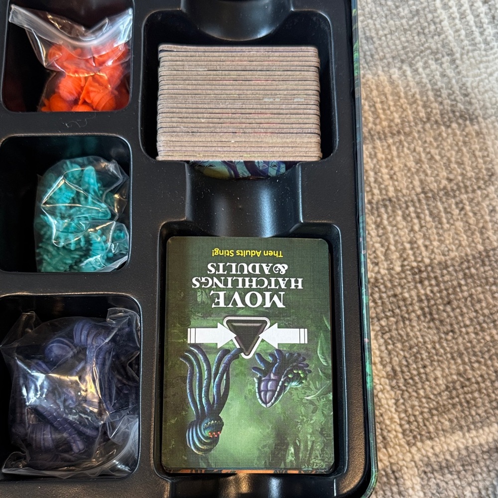 Forbidden Jungle Board Game - Picture 4 of 5